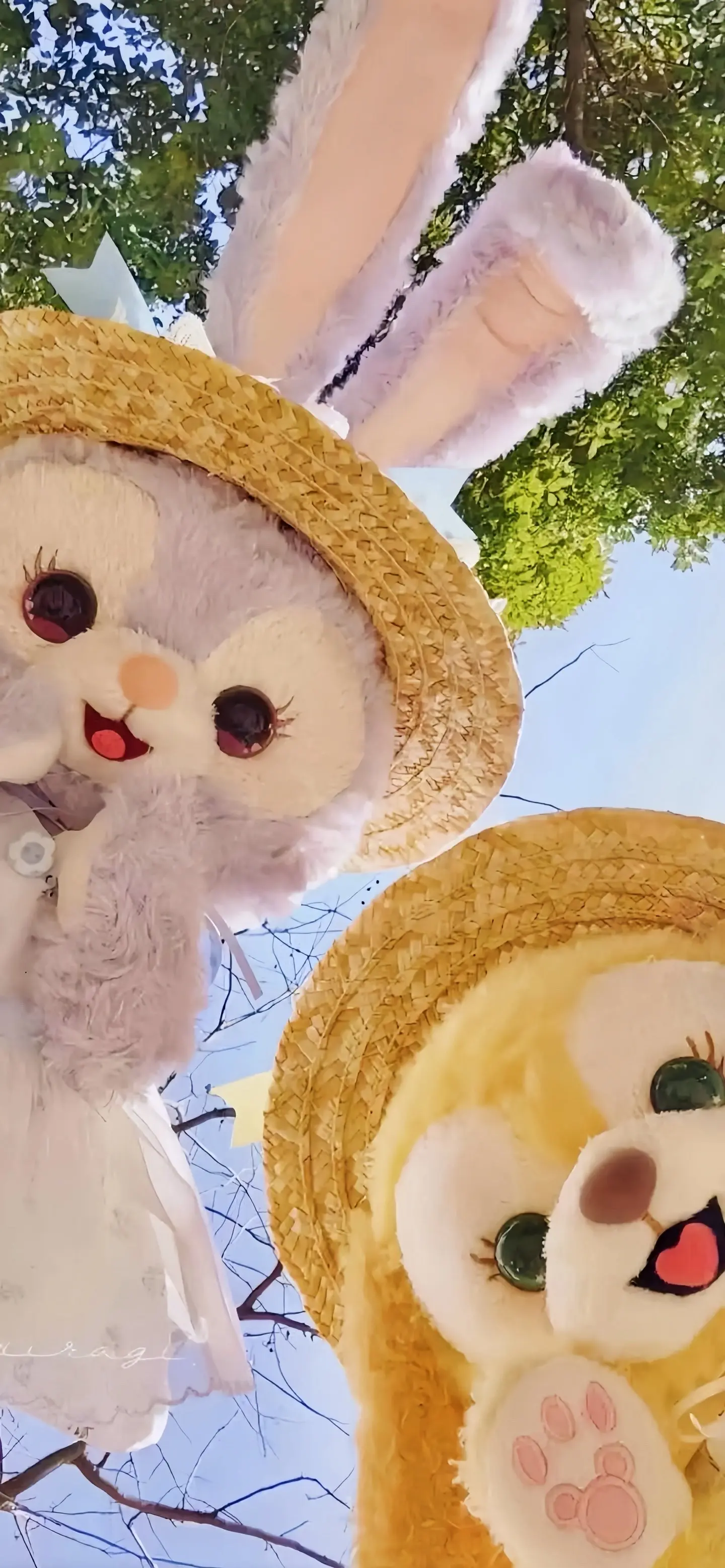 周末的阳光柔和地洒在厨房的窗台上